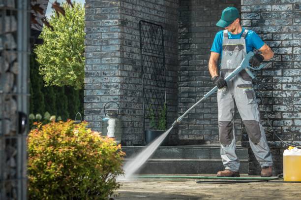 Best Soft Washing  in San Elizario, TX