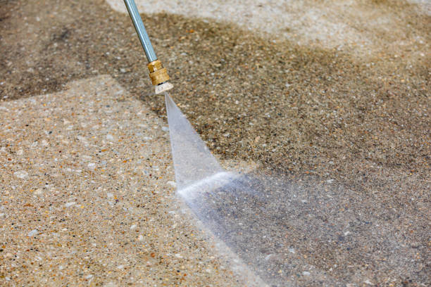 Best Warehouse Cleaning  in San Elizario, TX